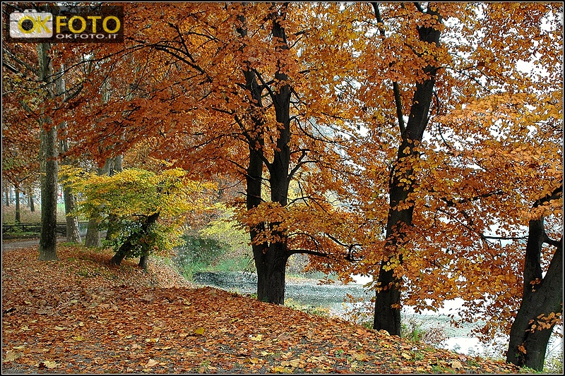 Autunno in Torino