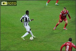 Pogba
