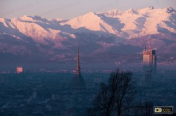 torino