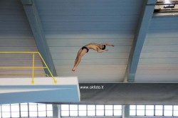 tuffi-campionati-maschili tuffi-Torino-2013