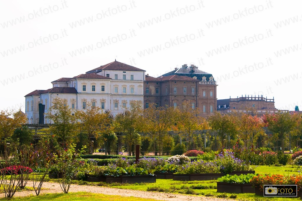 reggia-venaria i giardini della Reggia di Venaria