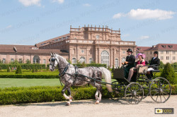Sfilata di carrozze davanti alle scuderie juvarriane