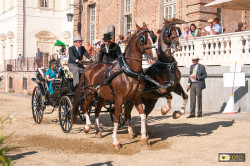 sfilata di carrozze d'epoca al concorso di attacchi alla Venaria