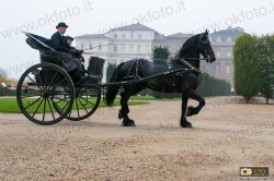 Carrozze d'epoca sfilano alla Reggia della Venaria Reale di Torino
