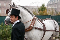 Il groom accudisce il cavallo in attesa della sfilata
