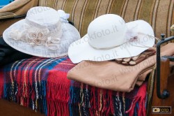 carrozze-epoca-venaria