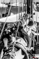 dettaglio di una vela d'epoca