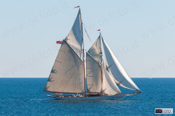 Vele d'epoca a Imperia, un veliero in regata