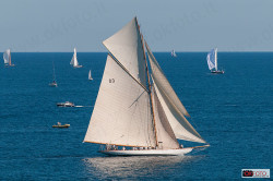 Una vela storica in navigazione