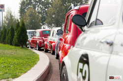 Tanti modelli di 500 a Torino