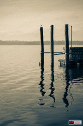 Imbarco traghetti Viverone