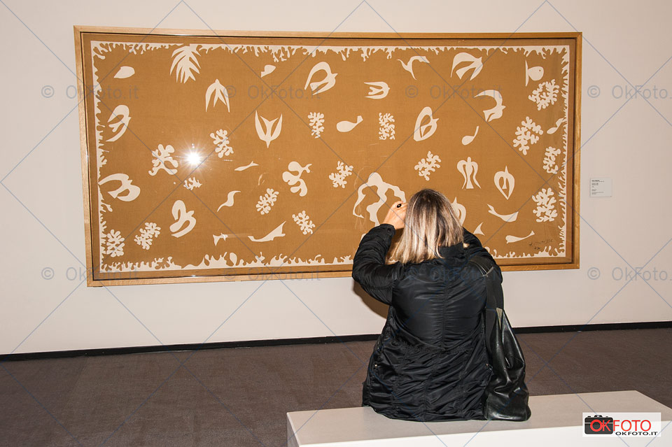 Matisse e il suo tempo in mostra al Polo Reale di Torino